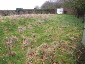 Garden- click for photo gallery